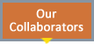 Our Collaborators