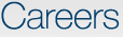 Careers at Systemic Software