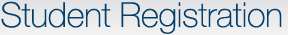 Careers at Systemic Software