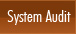 System Audit