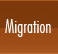 Migration