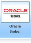 Oracle Siebel