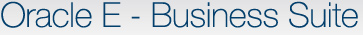 Oracle E- Business Suite