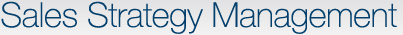 Sales Strategy Management
